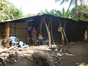 Lebensbedingungen auf Ometepe